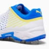 Image Puma Spike 22.1 Men's Cricket Shoes #3