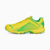 Image Puma FH Rubber 22 Men's Cricket Shoes #1