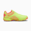 Image Puma FH Rubber 22 Men's Cricket Shoes #5