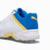 Image Puma PUMA Spike 22.2 Cricket Shoes Men #3