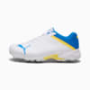 Image Puma PUMA Spike 22.2 Cricket Shoes Men #1