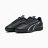 Изображение Puma Бутсы VITORIA TT Football boots #4: Puma Black-Puma White