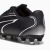Зображення Puma Бутси VITORIA FG/AG Youth Football Boots #3: Puma Black-Puma White