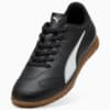 Изображение Puma Бутсы VITORIA II Futsal Boots Youth #6: Puma Black-Puma White