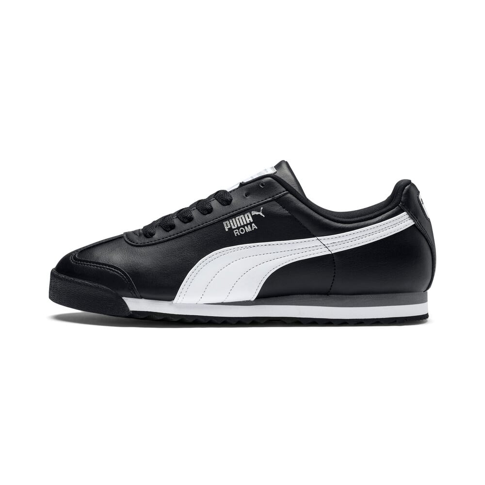 قطاع أرض مكان puma roma