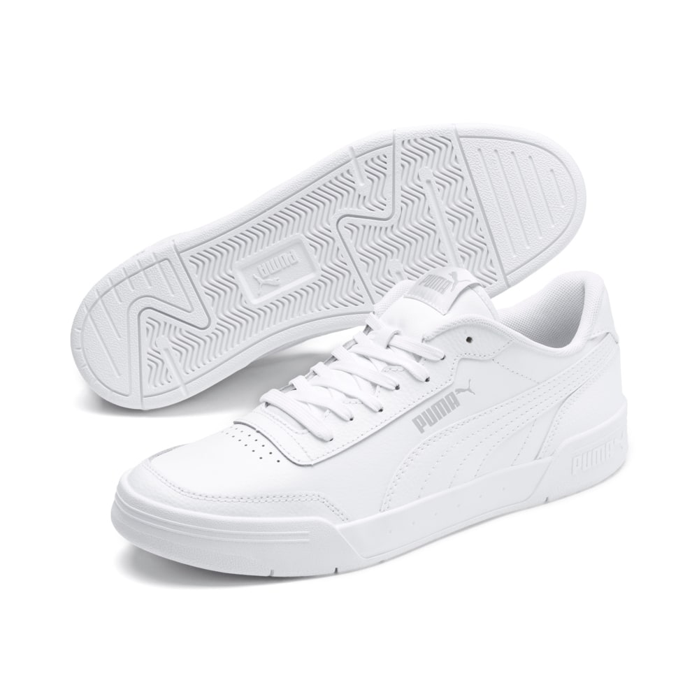 Puma caracal on sale