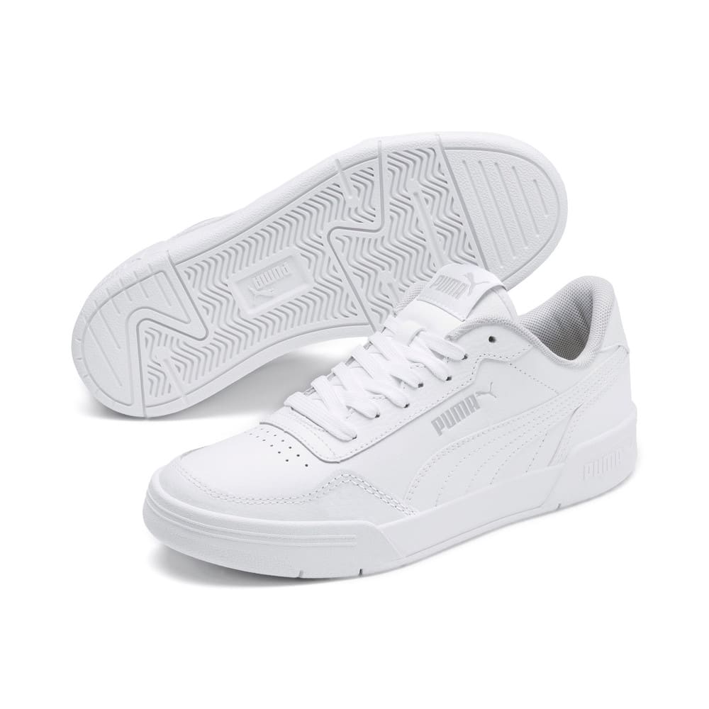 Puma caracal jr