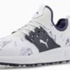 Image Puma Ignite Articulate Lowlands Golf Shoes Men #9