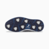 Image Puma Ignite Articulate Lowlands Golf Shoes Men #6