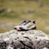 Imagen PUMA Zapatillas de senderismo para hombre Explore NITRO #10