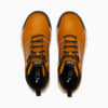 Зображення Puma Кросівки Tarrenz SB II Sneakers #6: Desert Tan-Puma Black-Puma Team Gold