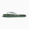 Image Puma First Flip Brushed ZADP Sandals Men #1