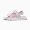 Изображение Puma Детские сандалии PUMA Evolve Sandals Kids #1: Rose Mauve-Lilac Frost-Peaceful Blue
