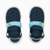Изображение Puma Детские сандалии PUMA Evolve Alternative Closure Sandals Baby #6: Dark Night-Hero Blue-Lily Pad