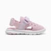 Зображення Puma Дитячі сандалі PUMA Evolve Alternative Closure Sandals Baby #5: Rose Mauve-Lilac Frost-Peaceful Blue
