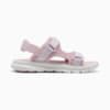 Зображення Puma Сандалі PUMA Evolve Sandals Youth #5: Rose Mauve-Lilac Frost-Peaceful Blue