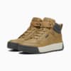 Изображение Puma Ботинки Tarrenz SB III Boots #4: Toasted-Toasted-Shadow Gray-PUMA Gold