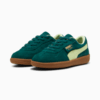 Зображення Puma Дитячі кеди Palermo Kids' Sneakers #2: Dark Myrtle-Cool Cucumber
