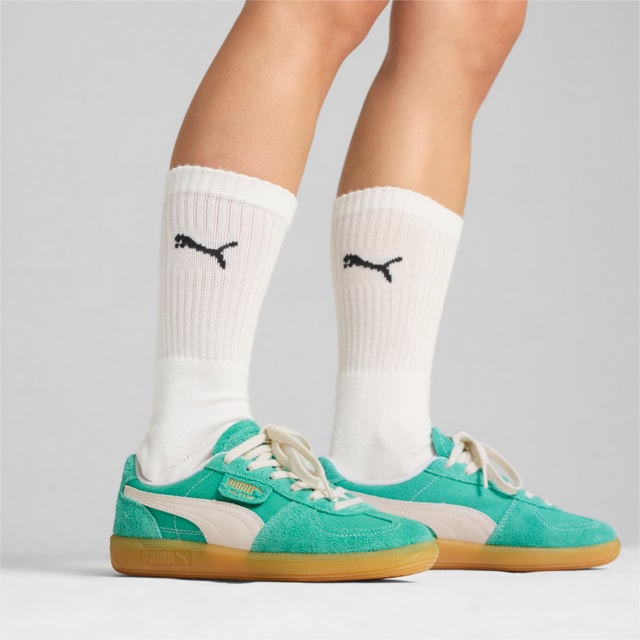 Nuevas bambas puma top
