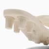 Imagen PUMA Sandalias FENTY x PUMA Cat Cleat para mujer #10