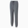 Изображение Puma Штаны French Terry Women's Training Joggers #4