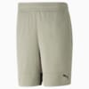 Изображение Puma Шорты PUMA Fit Ultrabreathe Training Shorts Men #6: Birch Tree