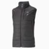Изображение Puma Жилет SEASONS Reversible PrimaLoft® Hiking Vest Men #6: Puma Black