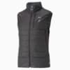 Image Puma SEASONS Reversible PrimaLoft® Hiking Vest Men #6