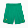 Image PUMA Short de Treino CBAt Fã #1