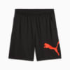 Imagen PUMA Shorts de entrenamiento Train All Day 20cm para hombre #0