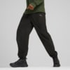 Изображение Puma Брюки SEASONS Softshell Pants Men #1: Puma Black