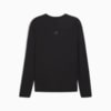 Imagen PUMA Polera manga larga SEASONS para hombre #7