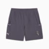Изображение Puma Шорты SEASONS 7