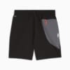Изображение Puma Шорты FLEX STRETCH 7