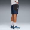 Imagen PUMA Shorts de entrenamiento FLEX STRETCH para hombre #4