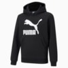 Imagen PUMA Polerón juvenil con logotipo y capucha Classics #1