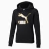 Imagen PUMA Polerón juvenil con capucha y logotipo Classics #1