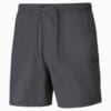 Зображення Puma Шорти MMQ EARTHBREAK Men's Shorts #1: CASTLEROCK