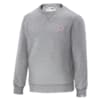 Imagen PUMA Polerón Suede Crew #1
