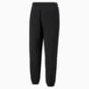 Зображення Puma Штани Downtown French Terry Men's Sweatpants #5: Puma Black