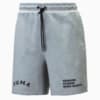 Зображення Puma Шорти PUMA x KidSuper Treatment Men's Shorts #1: Gray Violet