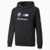 Изображение Puma Детская толстовка BMW M Motorsport Essentials Logo Youth Hoodie #1