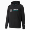 Image PUMA Moletom com Capuz Mercedes F1 Essentials Masculino #5