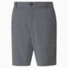 Image Puma 101 North Men's Golf Shorts #5