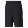 Image Puma 101 South Men's Golf Shorts #5