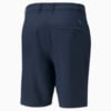 Image Puma 101 South Men's Golf Shorts #6