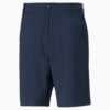 Image Puma 101 South Men's Golf Shorts #5
