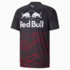 Görüntü Puma RED BULL RACING Double Bull Erkek T-shirt #7
