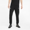 Изображение Puma Штаны BMW M Motorsport Men's Sweatpants #1