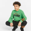 Изображение Puma Детская толстовка PUMA x MINECRAFT Youth Hoodie #3: Vibrant Green